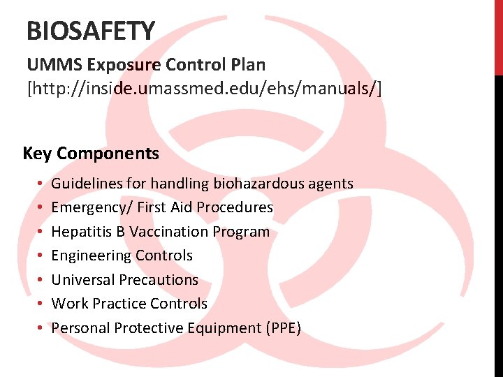 BIOSAFETY UMMS Exposure Control Plan [http: //inside. umassmed. edu/ehs/manuals/] Key Components • • Guidelines