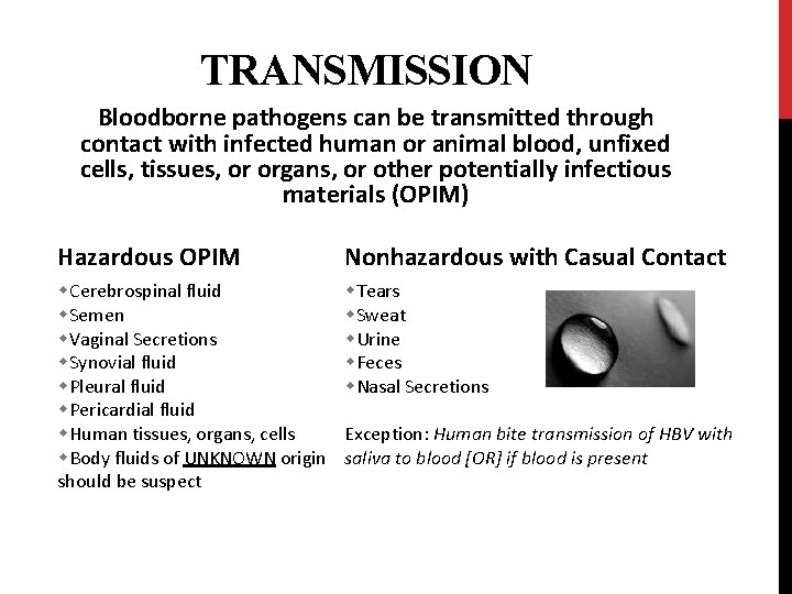 TRANSMISSION Bloodborne pathogens can be transmitted through contact with infected human or animal blood,