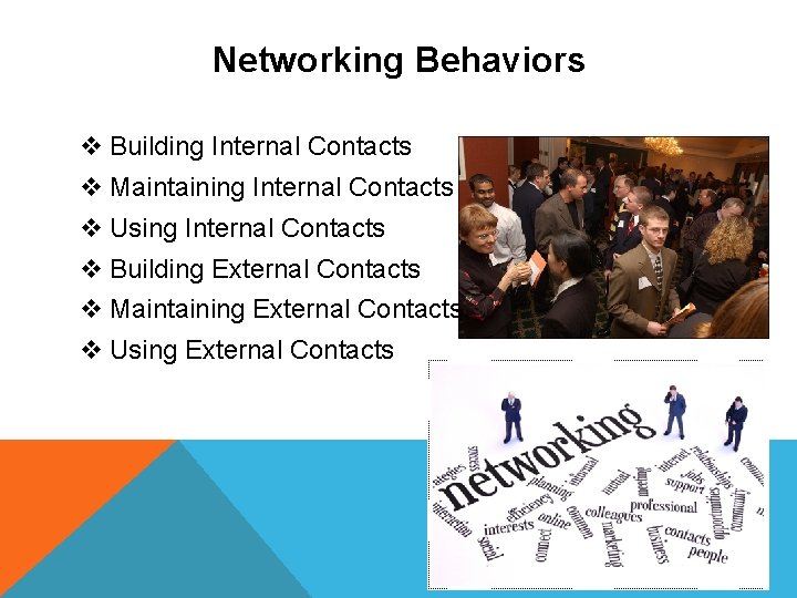 Networking Behaviors v Building Internal Contacts v Maintaining Internal Contacts v Using Internal Contacts