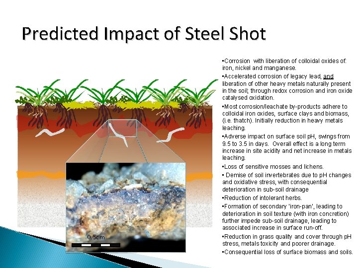 Predicted Impact of Steel Shot 0. 5 cm • Corrosion with liberation of colloidal