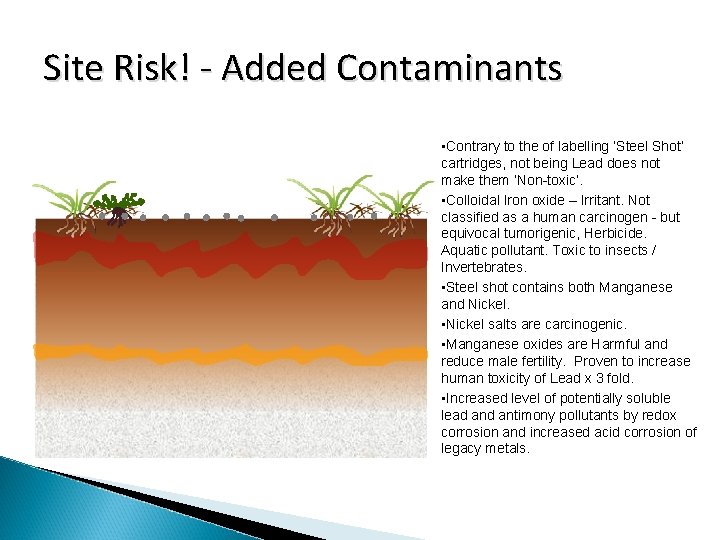 Site Risk! - Added Contaminants • Contrary to the of labelling ‘Steel Shot’ cartridges,