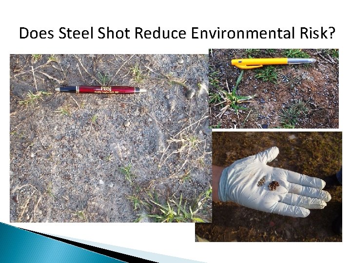 Does Steel Shot Reduce Environmental Risk? 