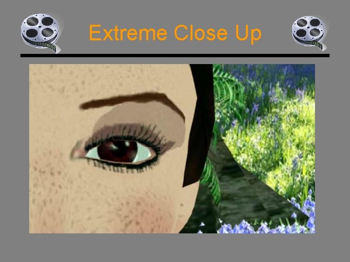 Extreme Close Up 