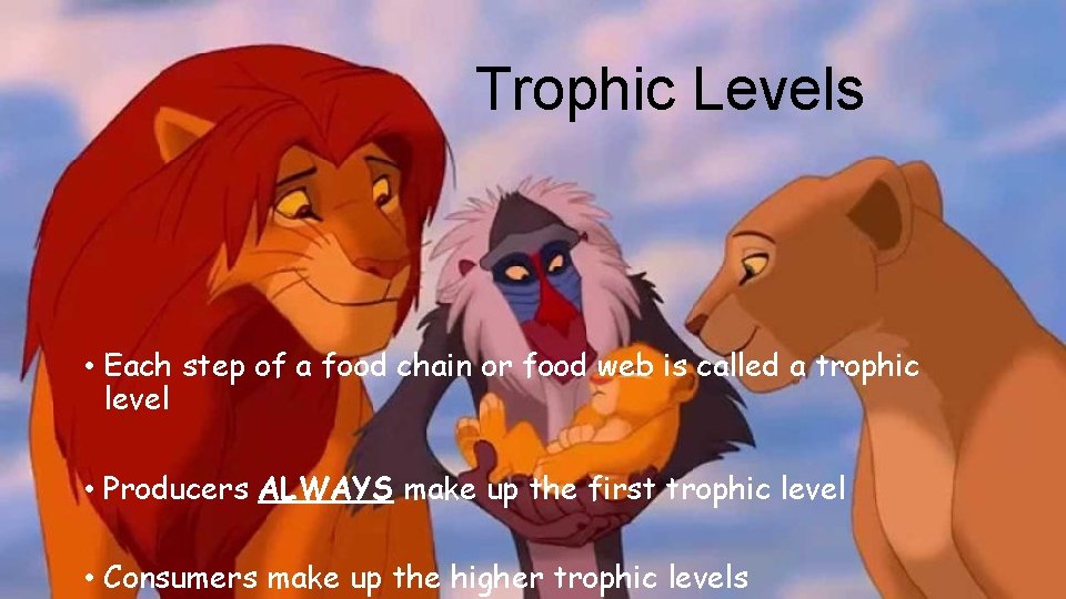 Trophic Levels • Each step of a food chain or food web is called