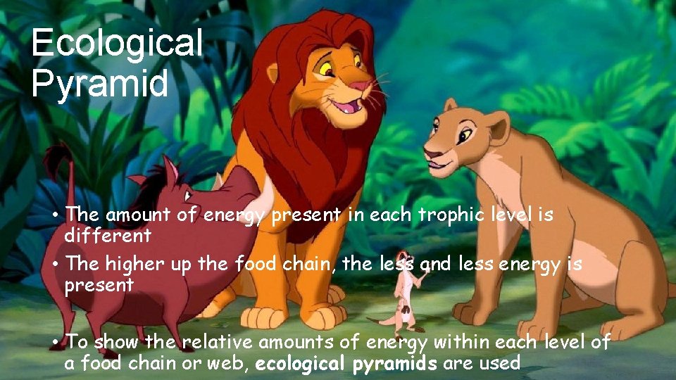 Ecological Pyramid • The amount of energy present in each trophic level is different