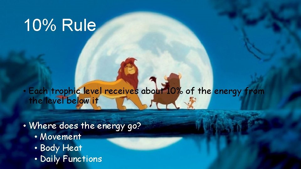 10% Rule • Each trophic level receives about 10% of the energy from the