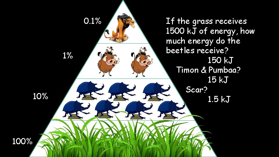 0. 1% 1% 100% If the grass receives 1500 k. J of energy, how