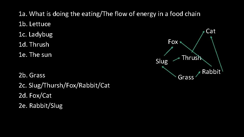 1 a. What is doing the eating/The flow of energy in a food chain