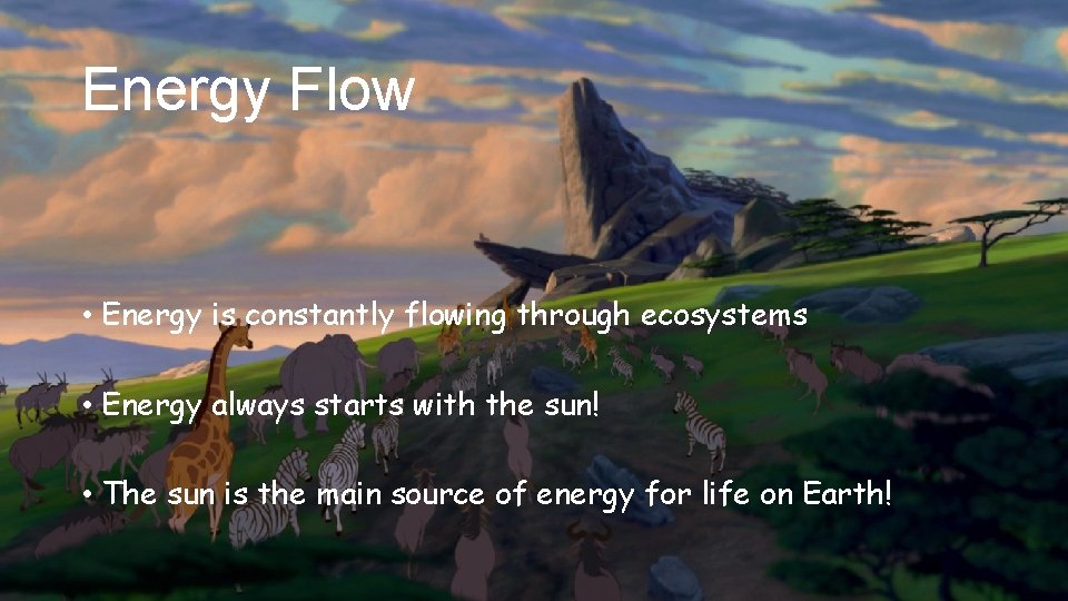 Energy Flow • Energy is constantly flowing through ecosystems • Energy always starts with
