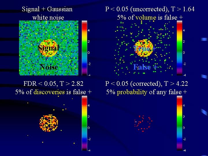 Signal + Gaussian white noise P < 0. 05 (uncorrected), T > 1. 64