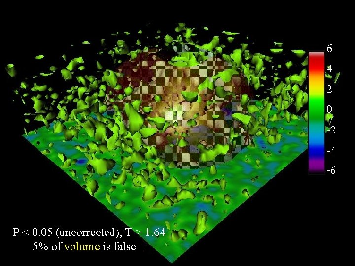 P < 0. 05 (uncorrected), T > 1. 64 5% of volume is false