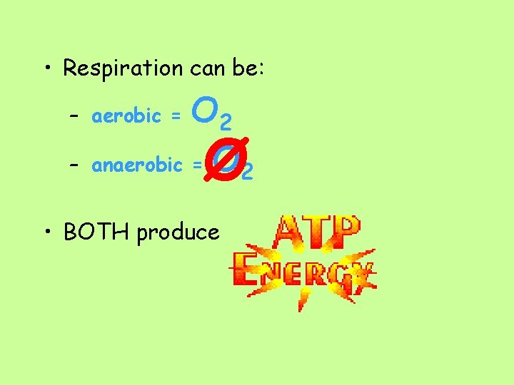  • Respiration can be: O 2 anaerobic = O 2 – aerobic =