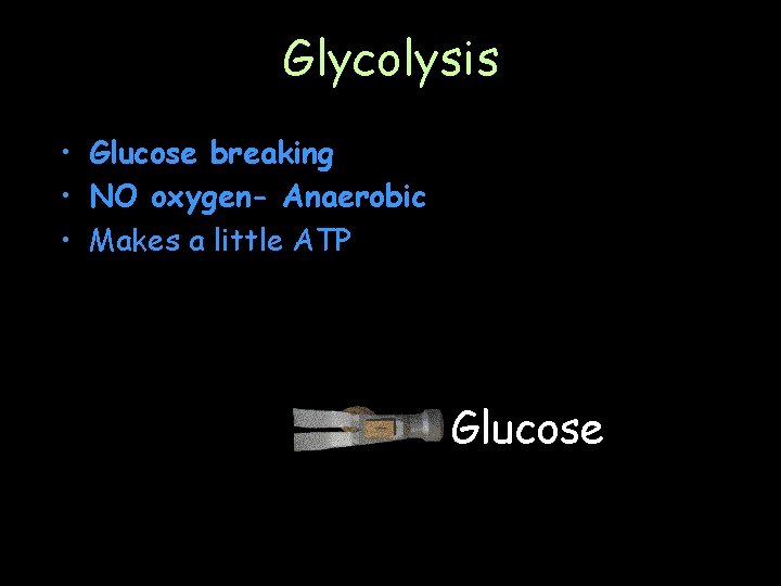 Glycolysis • Glucose breaking • NO oxygen- Anaerobic • Makes a little ATP Glucose