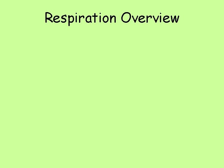 Respiration Overview 