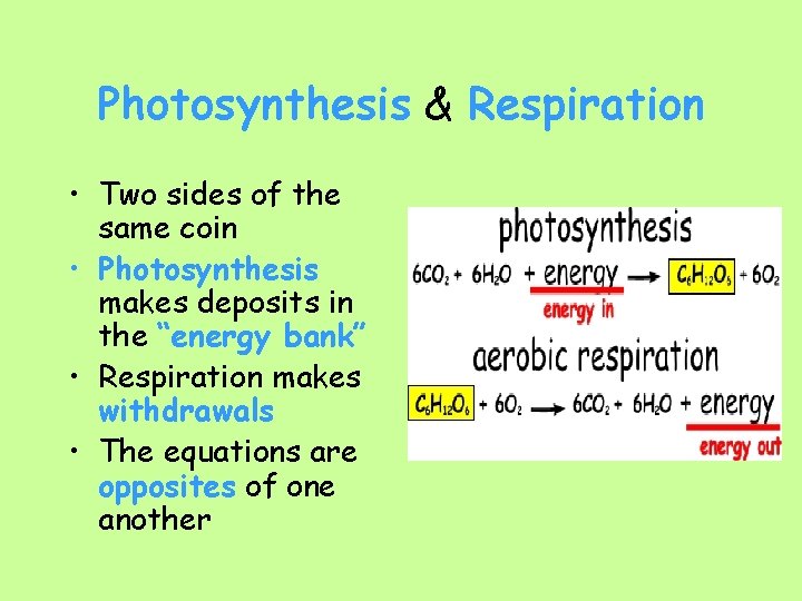 Photosynthesis & Respiration • Two sides of the same coin • Photosynthesis makes deposits