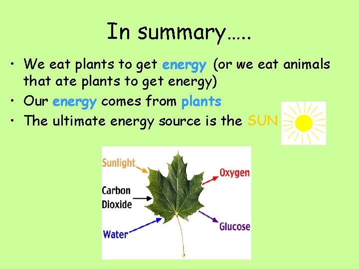 In summary…. . • We eat plants to get energy (or we eat animals