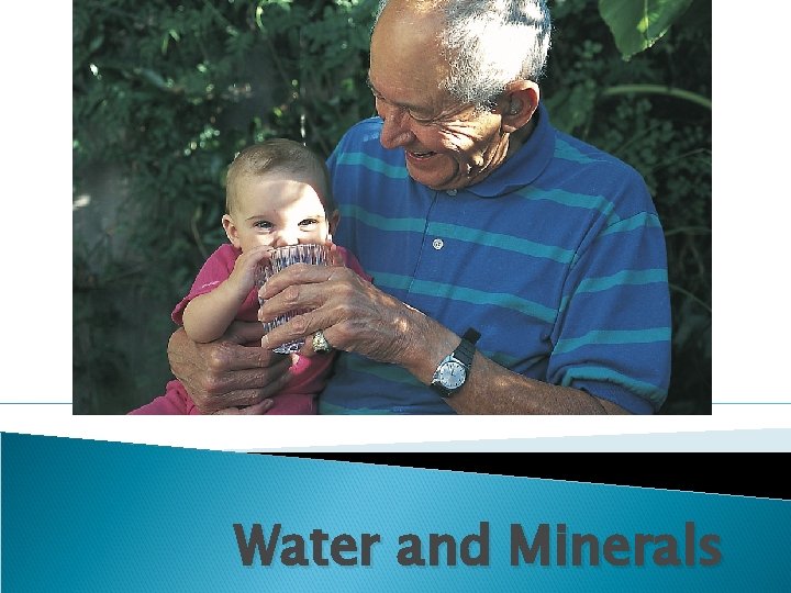 Water and Minerals Water and Minerals