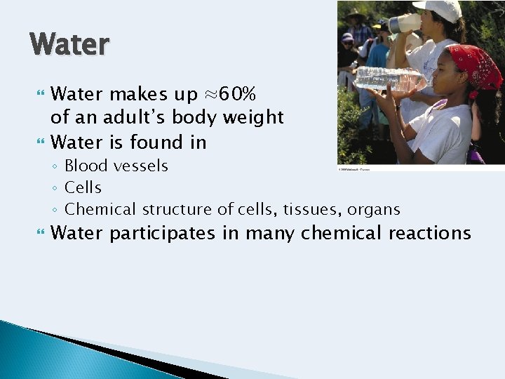 Water makes up ≈60% of an adult’s body weight Water is found in ◦ Water makes up ≈60% of an adult’s body weight Water is found in ◦