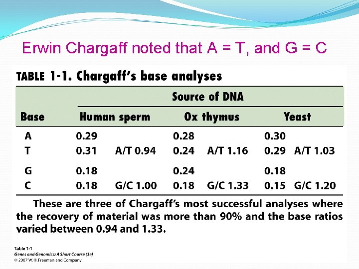 Erwin Chargaff noted that A = T, and G = C 