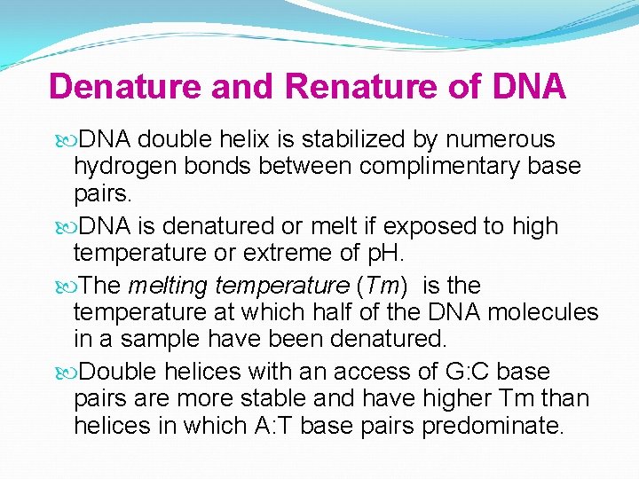 Denature and Renature of DNA double helix is stabilized by numerous hydrogen bonds between