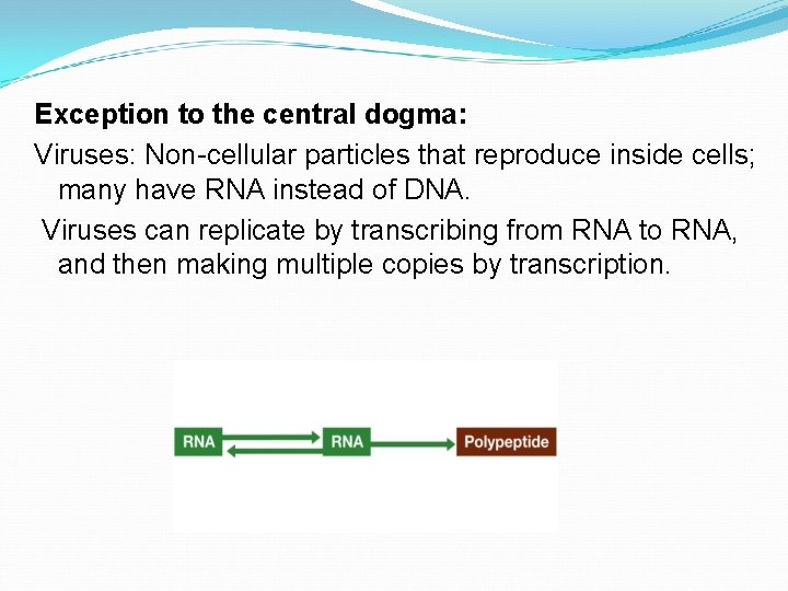 Exception to the central dogma: Viruses: Non-cellular particles that reproduce inside cells; many have