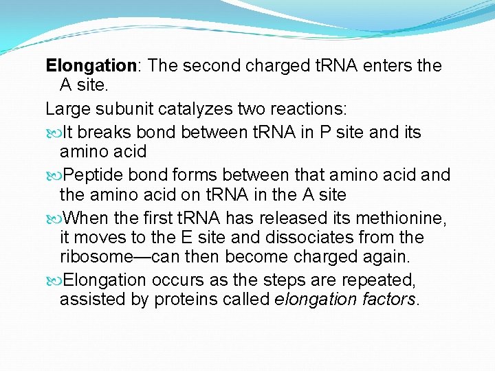 Elongation: The second charged t. RNA enters the A site. Large subunit catalyzes two