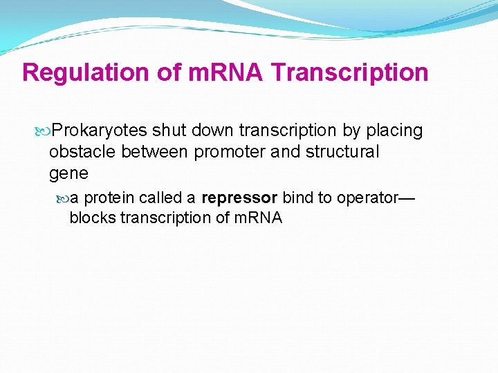 Regulation of m. RNA Transcription Prokaryotes shut down transcription by placing obstacle between promoter