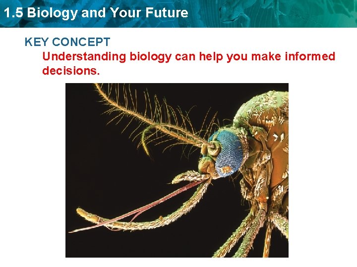 1. 5 Biology and Your Future KEY CONCEPT Understanding biology can help you make