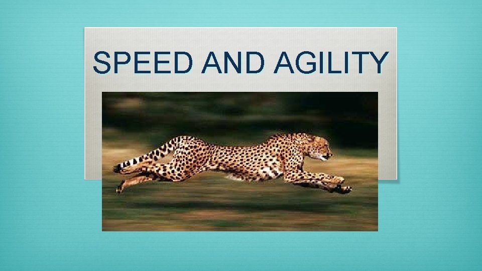 SPEED AND AGILITY 