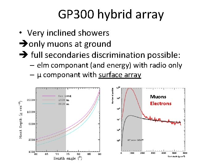 GP 300 hybrid array • Very inclined showers only muons at ground full secondaries GP 300 hybrid array • Very inclined showers only muons at ground full secondaries