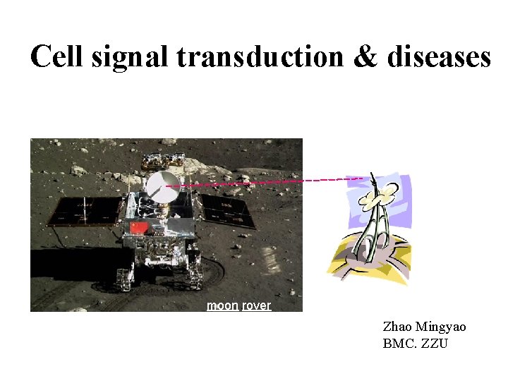 Cell signal transduction & diseases moon rover Zhao Mingyao BMC. ZZU 