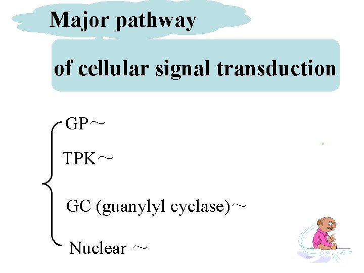 Major pathway of cellular signal transduction GP～ TPK～ GC (guanylyl cyclase)～ Nuclear ～ 