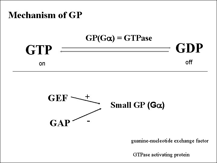 Mechanism of GP GTP GP(G ) = GTPase GDP off on GEF + GAP