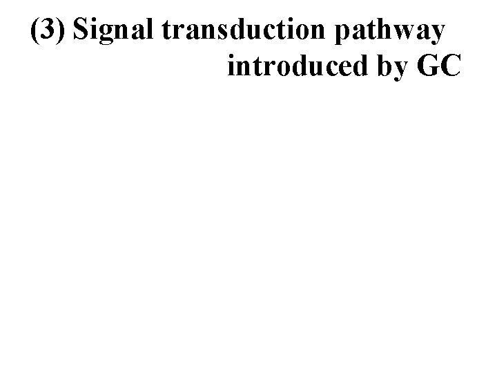 (3) Signal transduction pathway introduced by GC 