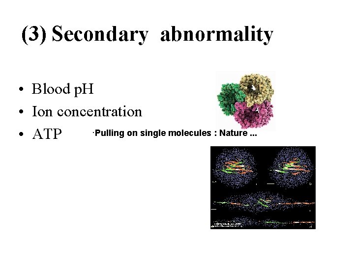 (3) Secondary abnormality • Blood p. H • Ion concentration ·Pulling on single molecules