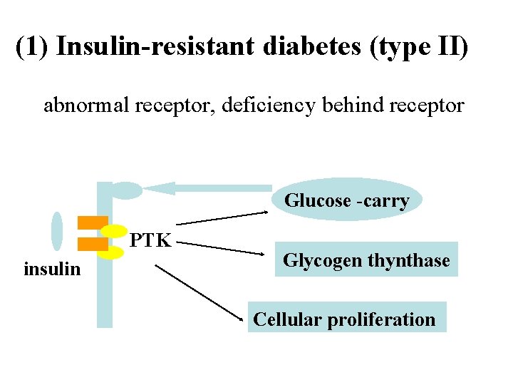 (1) Insulin-resistant diabetes (type II) abnormal receptor, deficiency behind receptor Glucose -carry PTK insulin