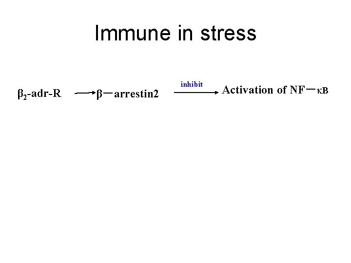 Immune in stress β 2 -adr-R β－arrestin 2 inhibit Activation of NF－ B 