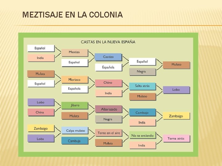 MEZTISAJE EN LA COLONIA 