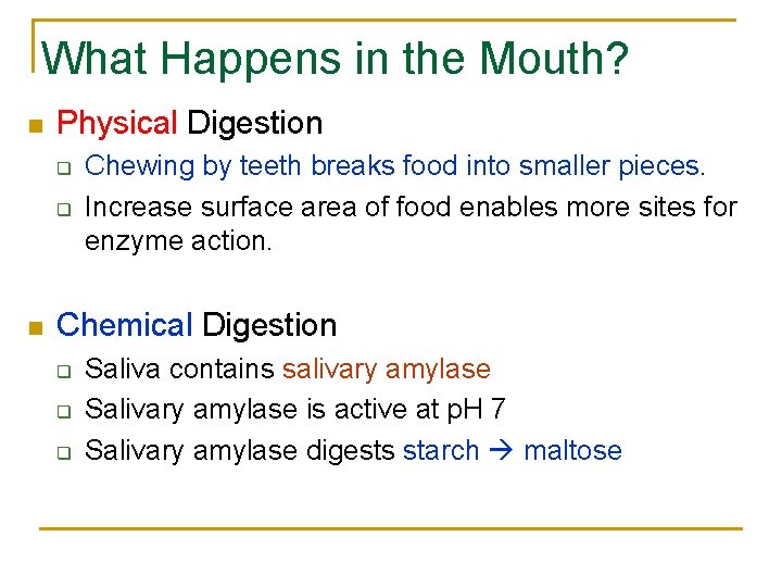 What Happens in the Mouth? n Physical Digestion q q n Chewing by teeth What Happens in the Mouth? n Physical Digestion q q n Chewing by teeth