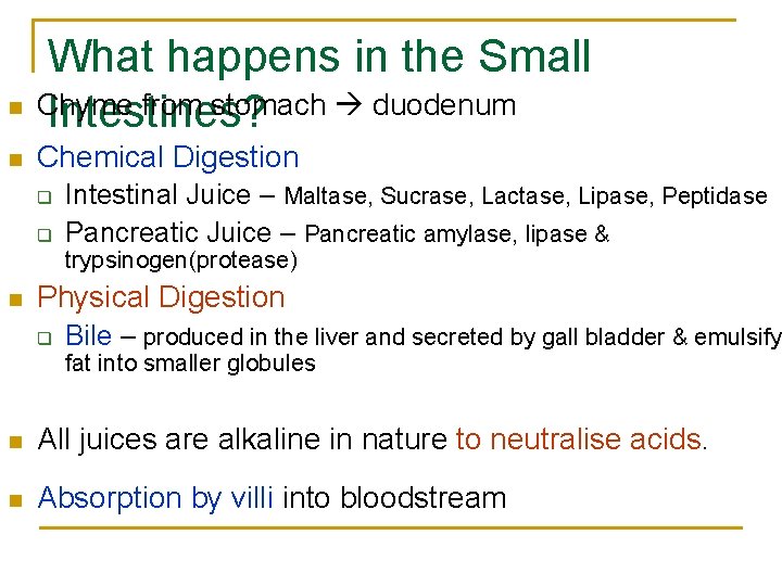 n n What happens in the Small Chyme from stomach duodenum Intestines? Chemical Digestion n n What happens in the Small Chyme from stomach duodenum Intestines? Chemical Digestion