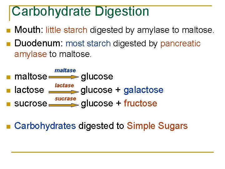 Carbohydrate Digestion n n Mouth: little starch digested by amylase to maltose. Duodenum: most Carbohydrate Digestion n n Mouth: little starch digested by amylase to maltose. Duodenum: most