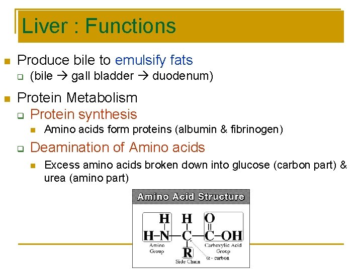 Liver : Functions n Produce bile to emulsify fats q n (bile gall bladder Liver : Functions n Produce bile to emulsify fats q n (bile gall bladder