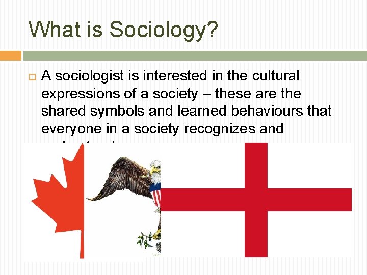 What is Sociology? A sociologist is interested in the cultural expressions of a society