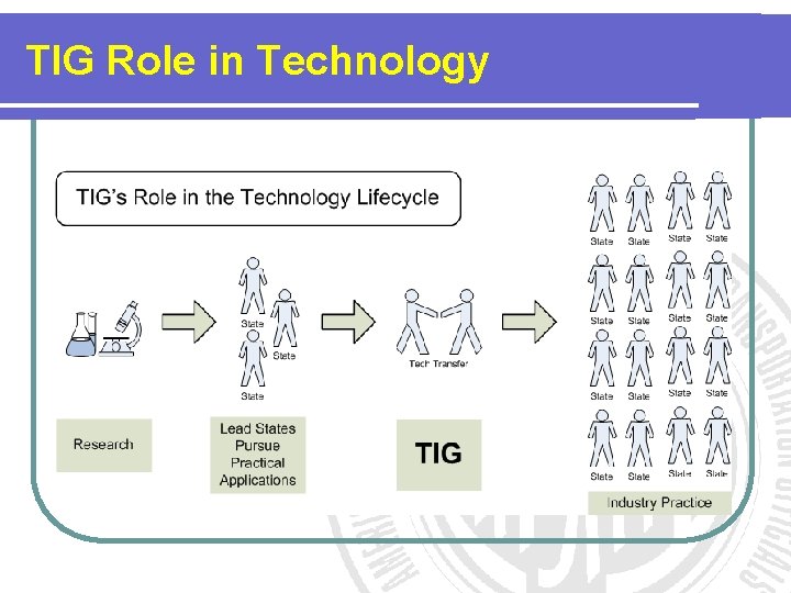 TIG Role in Technology TIG Role in Technology