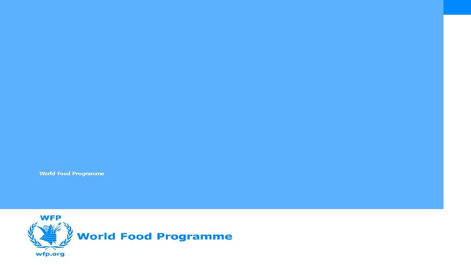 World Food Programme 