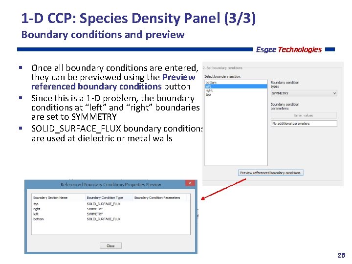 1 -D CCP: Species Density Panel (3/3) Boundary conditions and preview Once all boundary