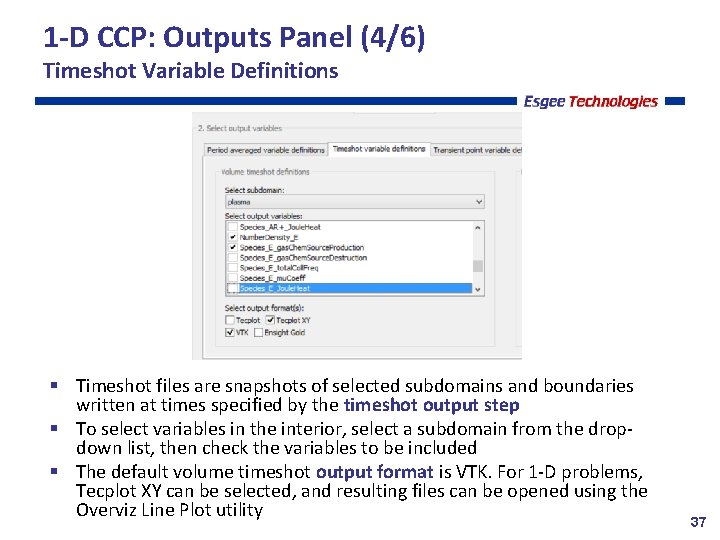 1 -D CCP: Outputs Panel (4/6) Timeshot Variable Definitions Timeshot files are snapshots of