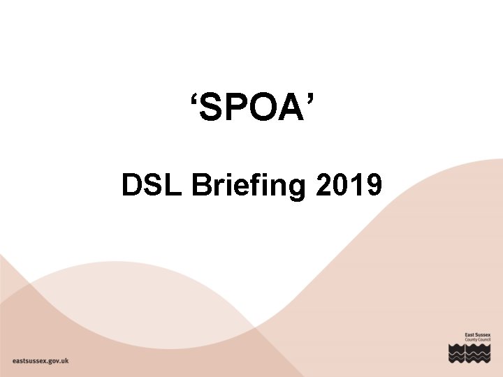 ‘SPOA’ DSL Briefing 2019 