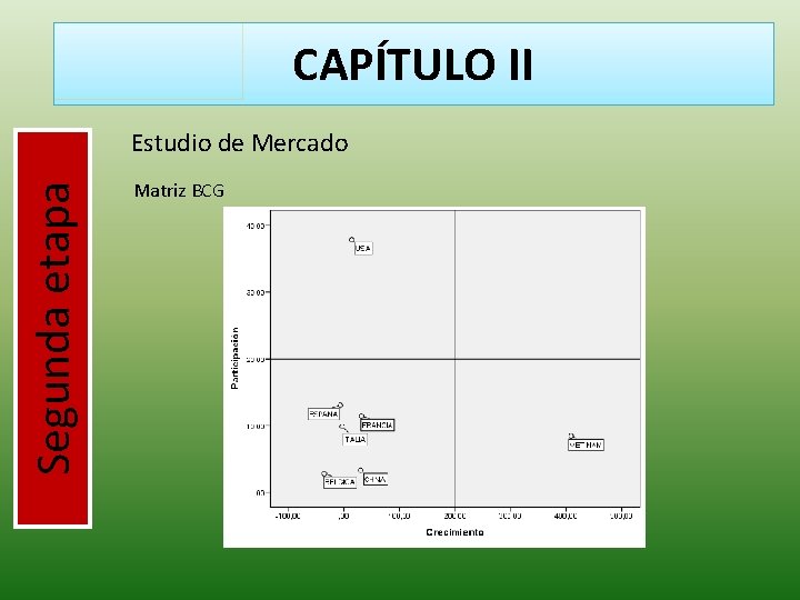 CAPÍTULO II Segunda etapa Estudio de Mercado Matriz BCG 