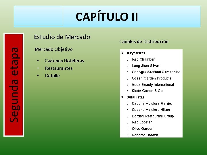 CAPÍTULO II Segunda etapa Estudio de Mercado Objetivo • • • Cadenas Hoteleras Restaurantes